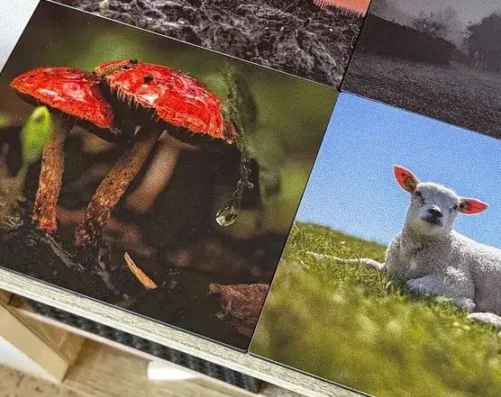 A row of printed faceplates laid out side by side