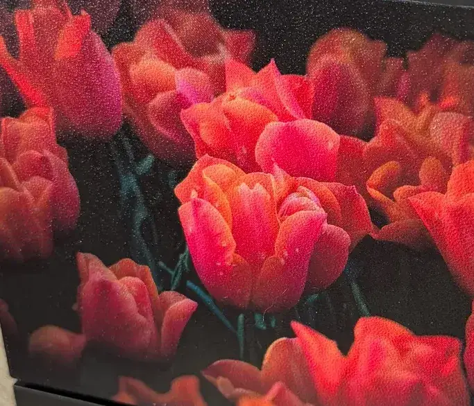 Tulips printed on a textured Steam Machine faceplate