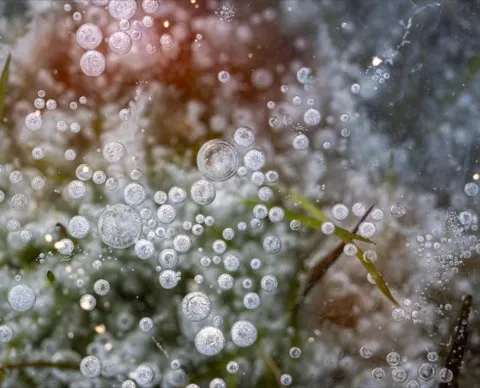 Frozen bubbles